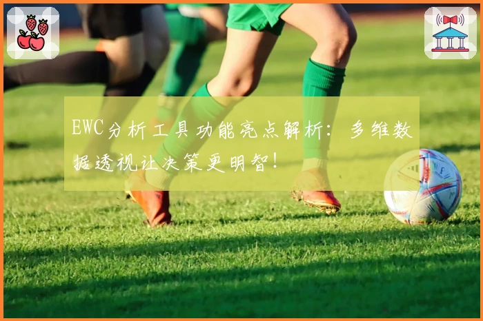 EWC分析工具功能亮点解析：多维数据透视让决策更明智！