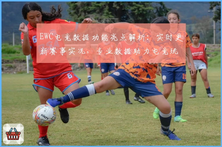 EWC电竞数据功能亮点解析:实时更新赛事实况,专业数据助力电竞玩家