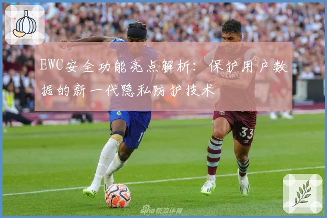 EWC安全功能亮点解析：保护用户数据的新一代隐私防护技术